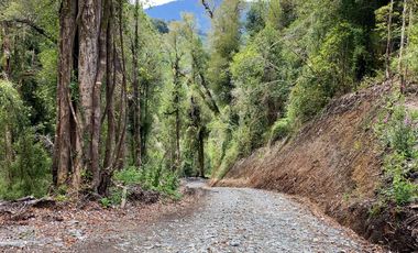 ¡Una Parcela Soñada con 35mts de Orilla de Río Petrohué!