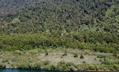 ¡Una Parcela Soñada con 35mts de Orilla de Río Petrohué!