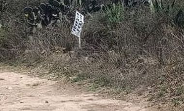 Terreno de 19 Hectáreas en Venta en Epazoyucan, Hidalgo