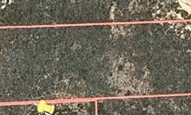 Terreno de 19 Hectáreas en Venta en Epazoyucan, Hidalgo