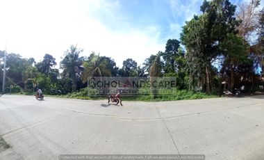 Residential Lot for Sale located in San Vicente, Baclayon, Bohol