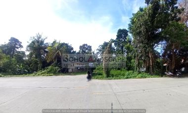 Residential Lot for Sale located in San Vicente, Baclayon, Bohol