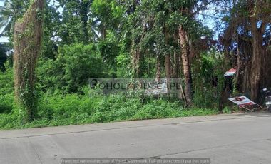 Residential Lot for Sale located in San Vicente, Baclayon, Bohol