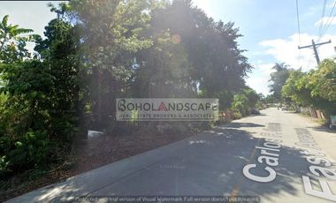 Residential Lot for Sale located in San Vicente, Baclayon, Bohol