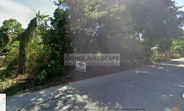 Residential Lot for Sale located in San Vicente, Baclayon, Bohol
