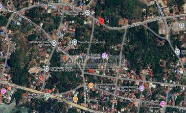 Residential Lot for Sale located in San Vicente, Baclayon, Bohol