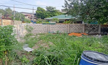 LOT FOR SALE AT UPS 4 PARAÑAQUE!