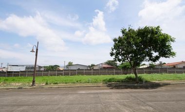 Alabang Residential Lot For Sale - Good Deal 348 Sqm Regular Cut Facing South Near Alabang Town Center