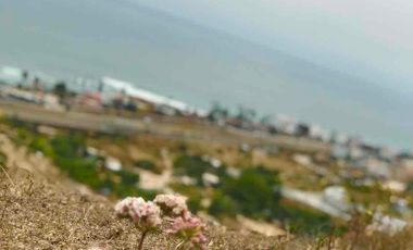 Terreno en venta con vista al mar en San Rafael, Playas de Rosarito BC