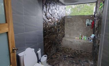 TYPHOON PROOF HOUSE AND LOT WITH PRIVATE POOL FOR SALE IN DAUIS PANGLAO ISLAND OF BOHOL