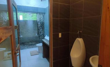 TYPHOON PROOF HOUSE AND LOT WITH PRIVATE POOL FOR SALE IN DAUIS PANGLAO ISLAND OF BOHOL
