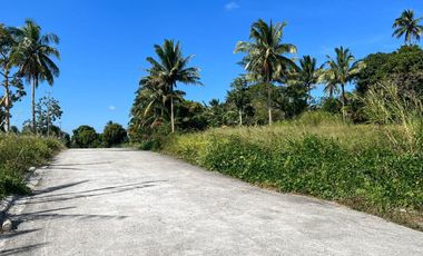 150sqm Soon to Rise Investment Lot for sale in Mendez near Tagaytay