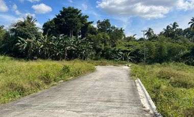 150sqm Soon to Rise Investment Lot for sale in Mendez near Tagaytay