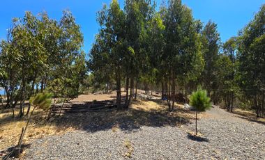 Hermosas Cabañas Condominio Quincheumo , Pichilemu