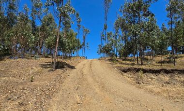 Hermosas Cabañas Condominio Quincheumo , Pichilemu