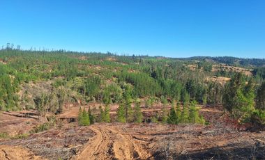Terreno Cercano a Paredones