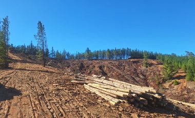 Terreno Cercano a Paredones