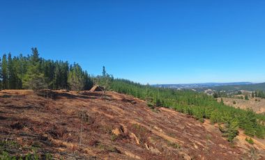 Terreno Cercano a Paredones