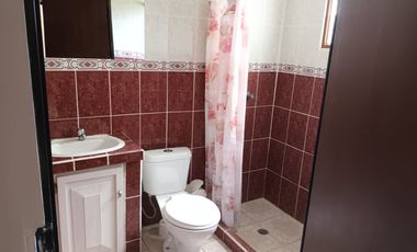 Renta Suite, al ingreso de Cotacachi