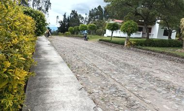 Renta Suite, al ingreso de Cotacachi