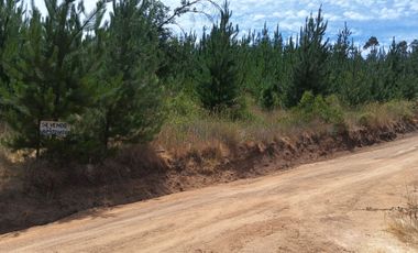 Terreno en Paredones