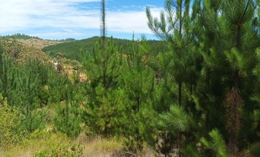 Terreno en Paredones