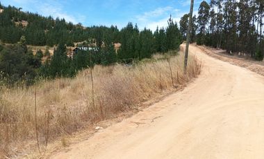 Terreno en Paredones