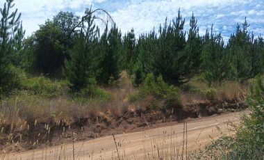 Terreno en Paredones