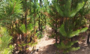 Terreno en Paredones