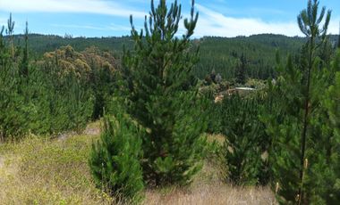 Terreno en Paredones