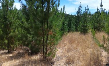 Terreno en Paredones