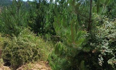 Terreno en Paredones