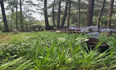Casa Habitación ubicada en La Huerta, Jilotepec, Estado de México