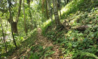 FINCA DE 4 HS EN PALOMINO GUAJIRA CON RIO Y PISCINAS NATURALES.