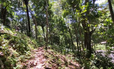 FINCA DE 4 HS EN PALOMINO GUAJIRA CON RIO Y PISCINAS NATURALES.