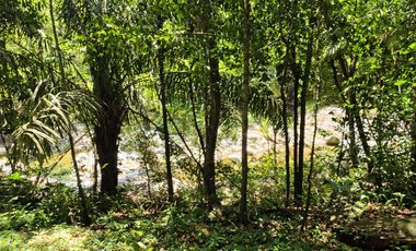 FINCA DE 4 HS EN PALOMINO GUAJIRA CON RIO Y PISCINAS NATURALES.