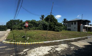 Residential Lot along national road, near Tagaytay, Amadeo Cavite, Title ready to transfer, Corner Lot