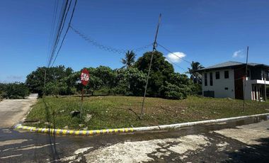 Residential Lot along national road, near Tagaytay, Amadeo Cavite, Title ready to transfer, Corner Lot