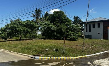 Residential Lot along national road, near Tagaytay, Amadeo Cavite, Title ready to transfer, Corner Lot