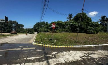 Residential Lot along national road, near Tagaytay, Amadeo Cavite, Title ready to transfer, Corner Lot