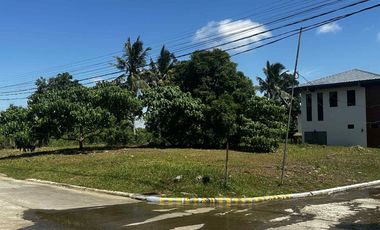 Residential Lot along national road, near Tagaytay, Amadeo Cavite, Title ready to transfer, Corner Lot