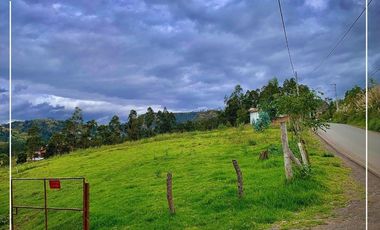 Terreno Sector Zhullin - Zumbahuaco, Via Cuenca-Azogues
