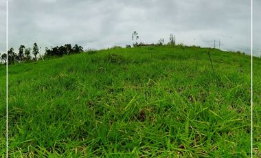 Terreno Sector Zhullin - Zumbahuaco, Via Cuenca-Azogues