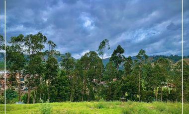 Terreno Sector Zhullin - Zumbahuaco, Via Cuenca-Azogues