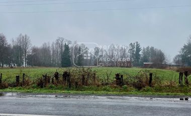Parcela en Venta 10.000 M2 a Orilla de Carretera, Camino Huichahue, Padre Las Casas