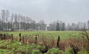 Parcela en Venta 10.000 M2 a Orilla de Carretera, Camino Huichahue, Padre Las Casas