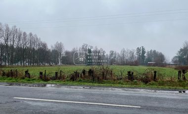 Parcela en Venta 10.000 M2 a Orilla de Carretera, Camino Huichahue, Padre Las Casas