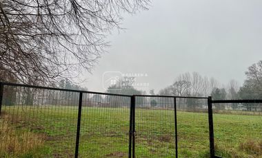 Parcela en Venta 10.000 M2 a Orilla de Carretera, Camino Huichahue, Padre Las Casas