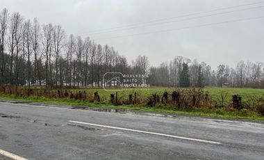 Parcela en Venta 10.000 M2 a Orilla de Carretera, Camino Huichahue, Padre Las Casas