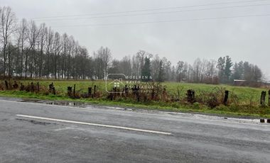 Parcela en Venta 10.000 M2 a Orilla de Carretera, Camino Huichahue, Padre Las Casas